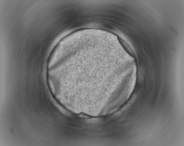 X0000112401437200909110919