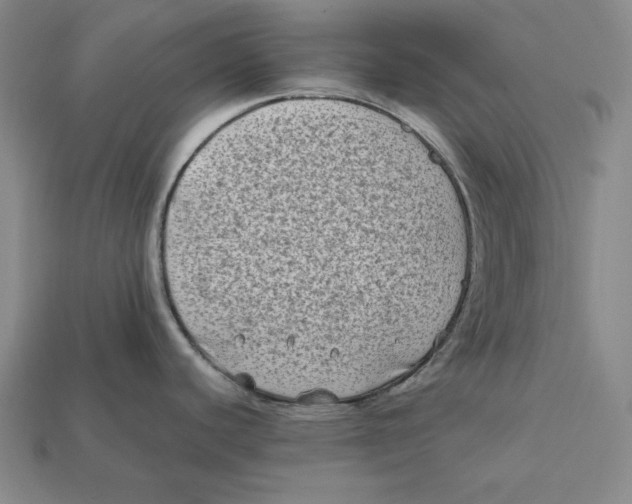 X0000112401440200909110919