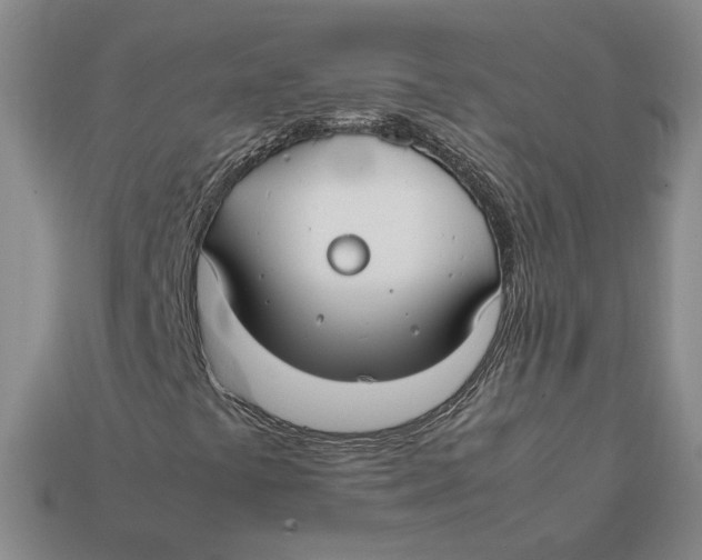 X0000112401441200909110919
