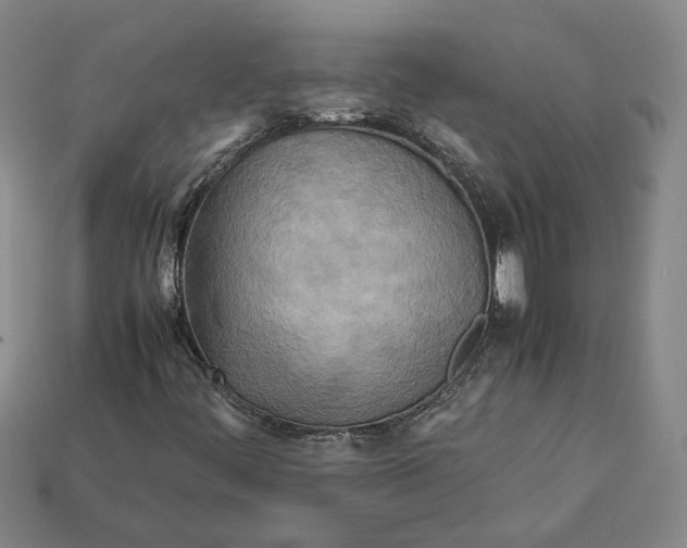 X0000112401444200909110919