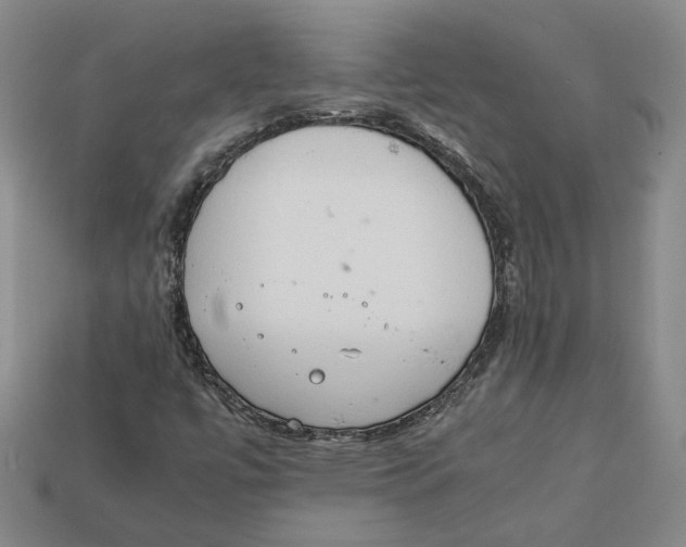 X0000112401447200909110919
