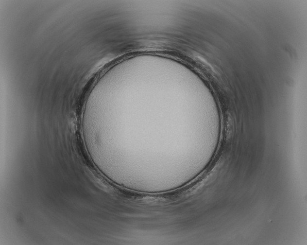 X0000112401449200909110919