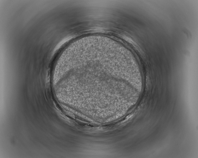 X0000112401450200909110919