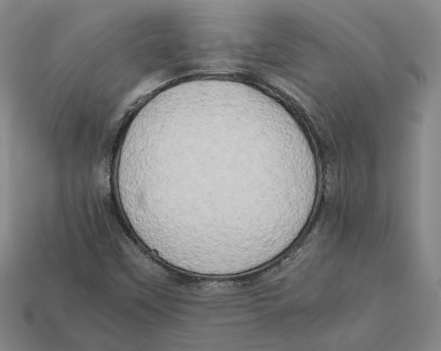 X0000112401451200909110919