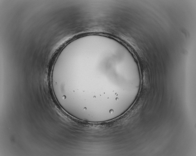 X0000112401452200909110919