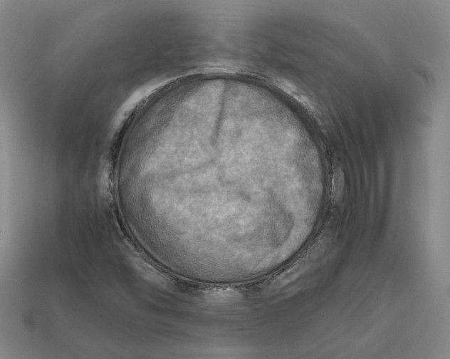 X0000112401454200909110919