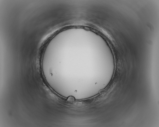 X0000112401456200909110919