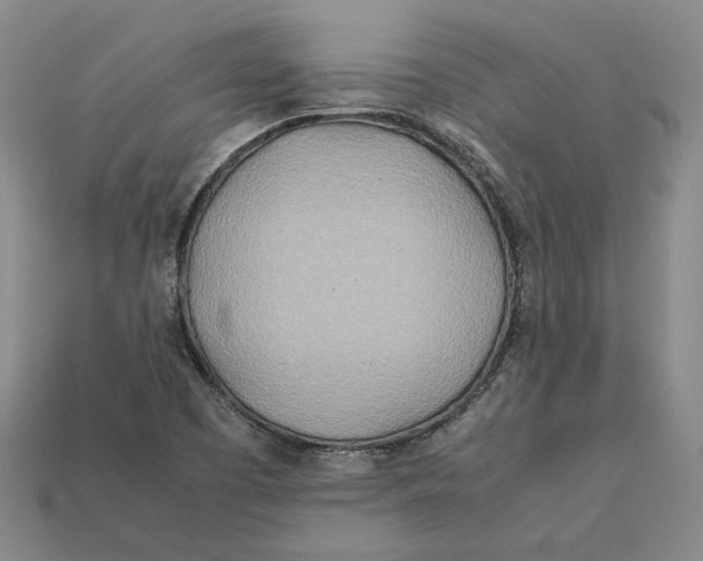 X0000112401457200909110919