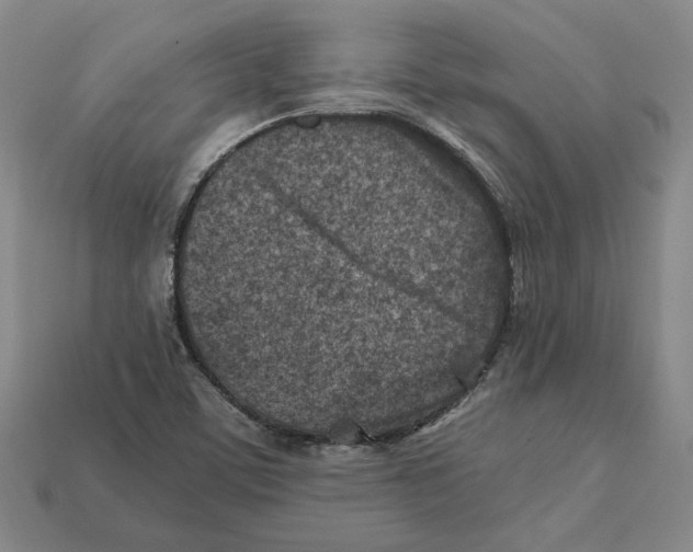 X0000112401459200909110919