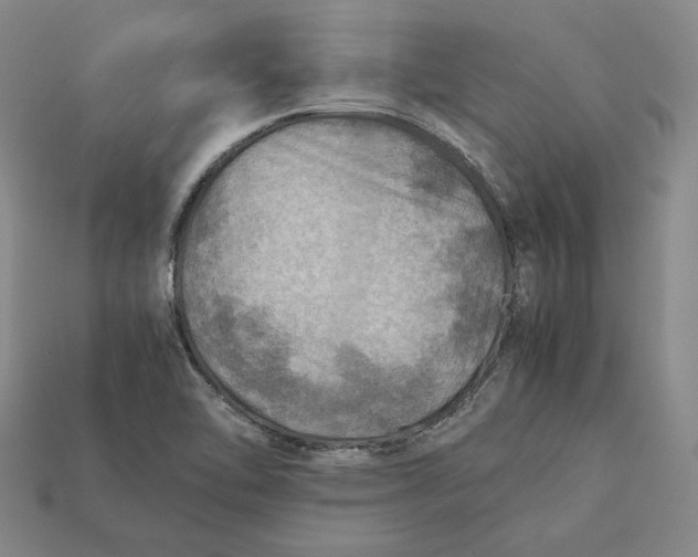 X0000112401462200909110919
