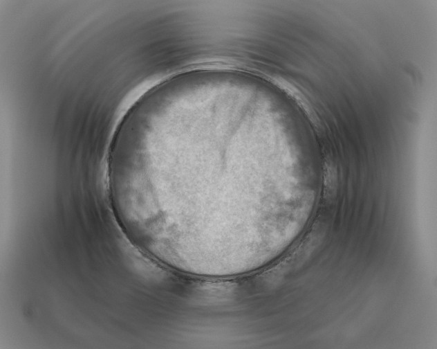 X0000112401466200909110918