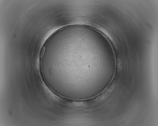X0000112401468200909110918