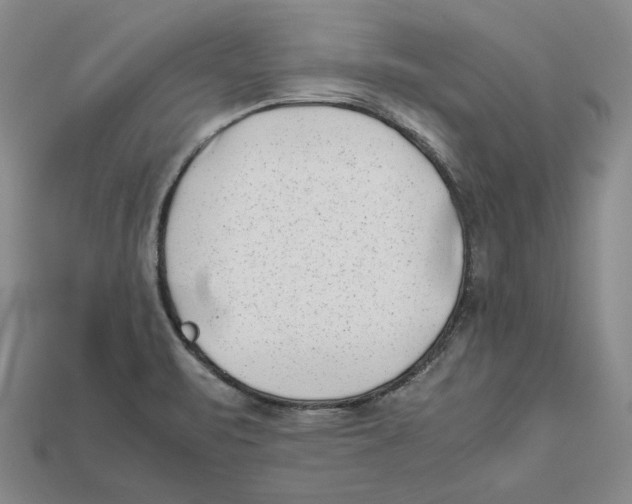 X0000112401471200909110918
