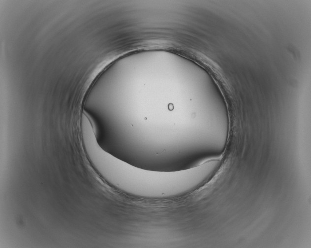 X0000112401473200909110918