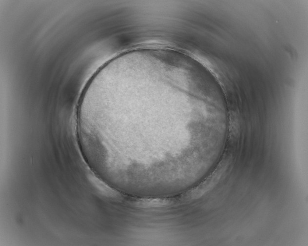 X0000112401474200909110918