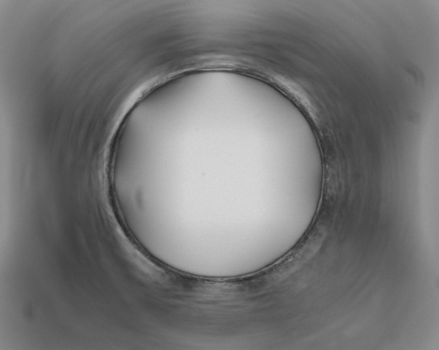 X0000112401475200909110918