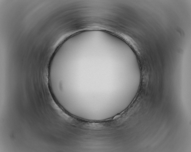 X0000112401476200909110918
