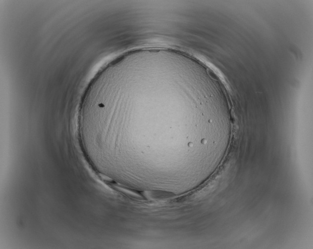 X0000112401477200909110918