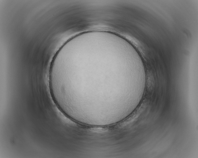 X0000112401478200909110918
