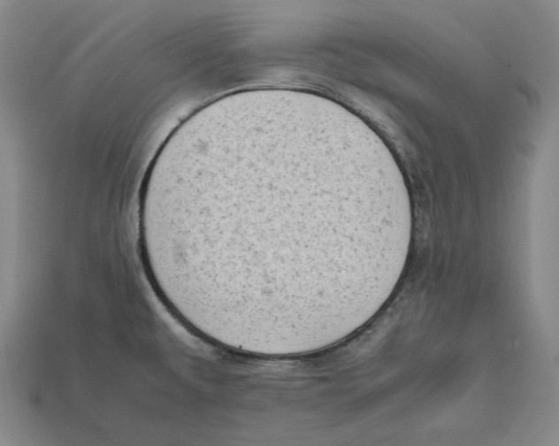 X0000112401479200909110918
