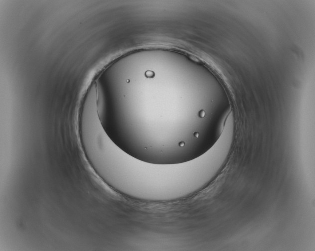 X0000112401480200909110918