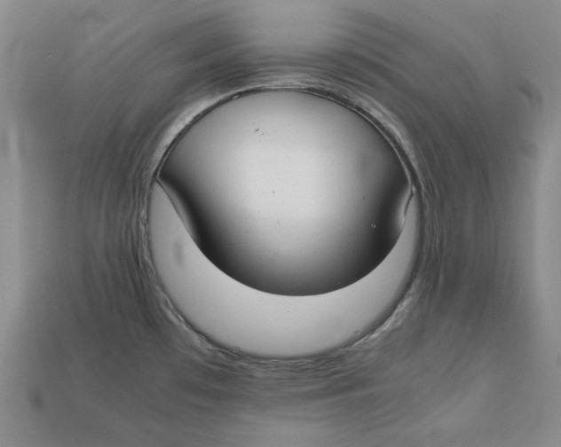 X0000112401481200909110918