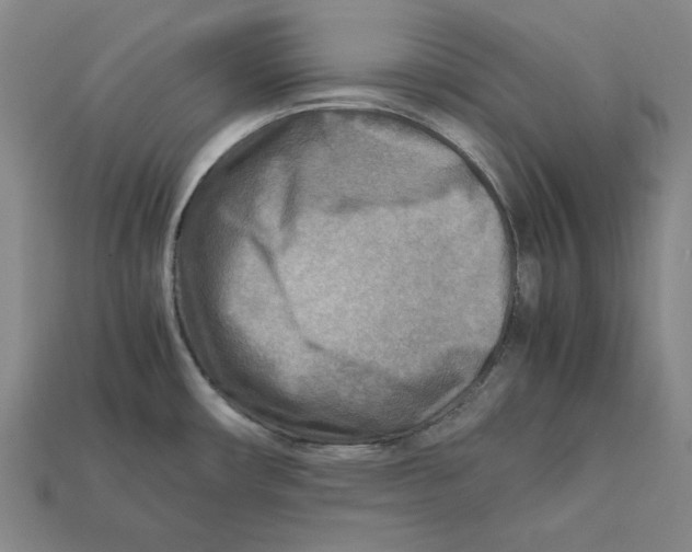 X0000112401482200909110918
