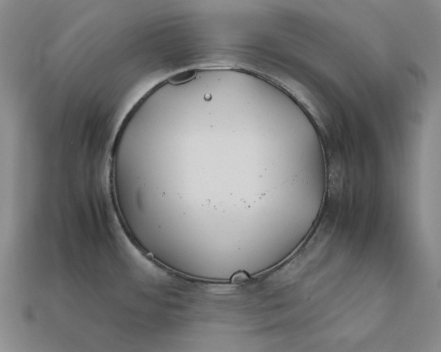 X0000112401484200909110918