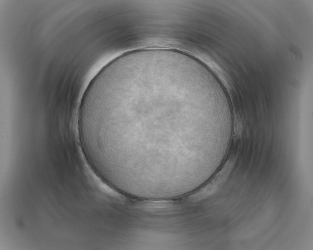 X0000112401486200909110918