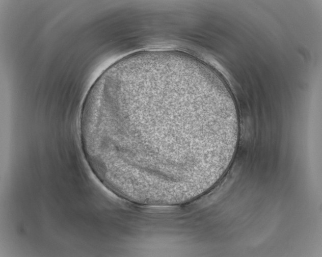 X0000112401487200909110918