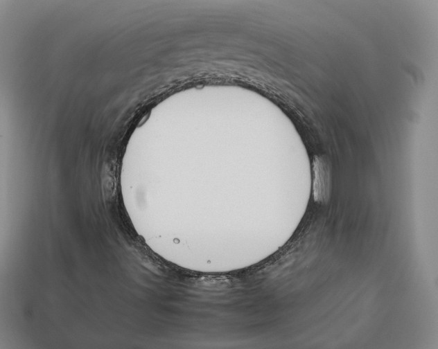 X0000112401491200909110918