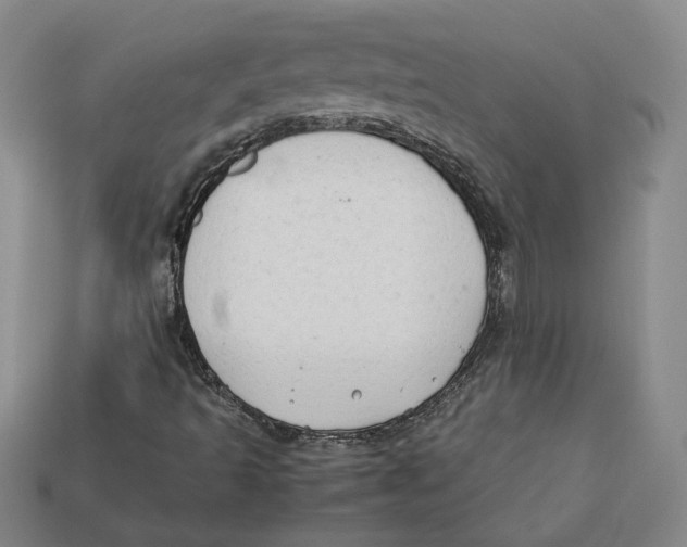 X0000112401493200909110918