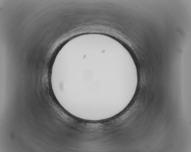 X0000112401498200909110918