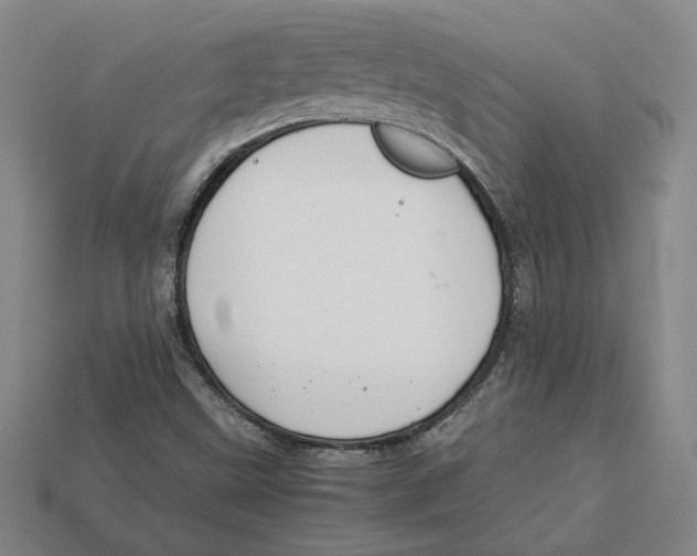 X0000112401499200909110918