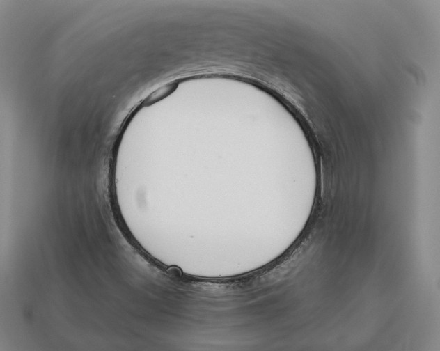 X0000112401500200909110918