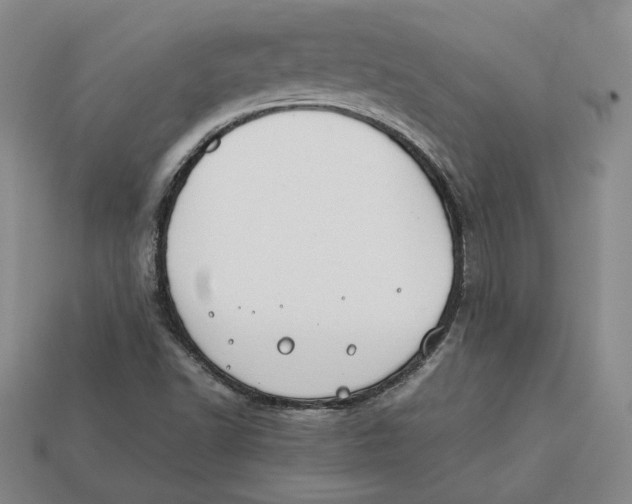 X0000112401502200909110918