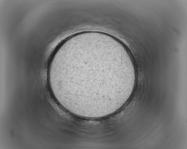 X0000112401503200909110918