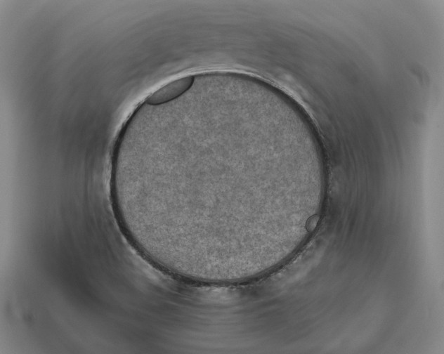 X0000112401508200909110918