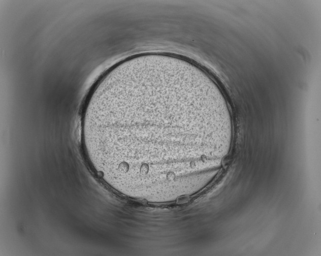 X0000112401509200909110918