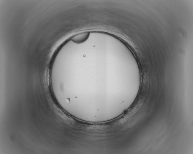 X0000112401510200909110918