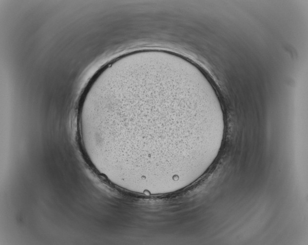 X0000112401511200909110918