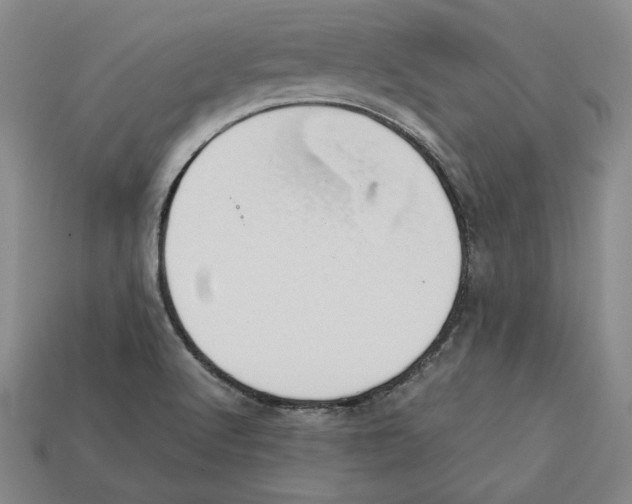 X0000112401512200909110918