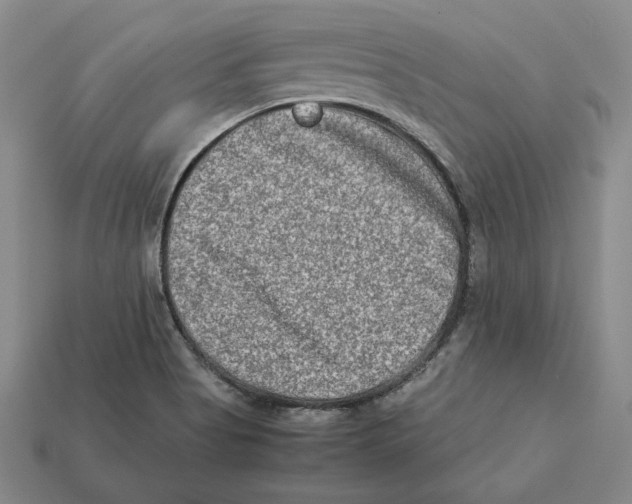 X0000112401513200909110918