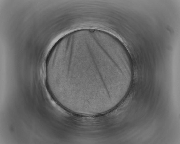 X0000112401515200909110918