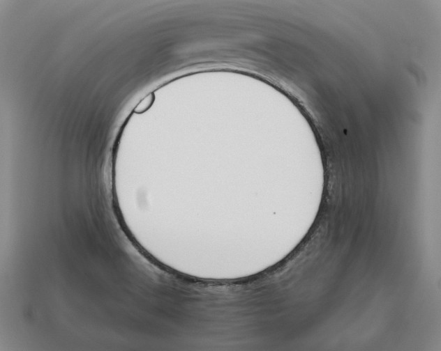 X0000112401516200909110918