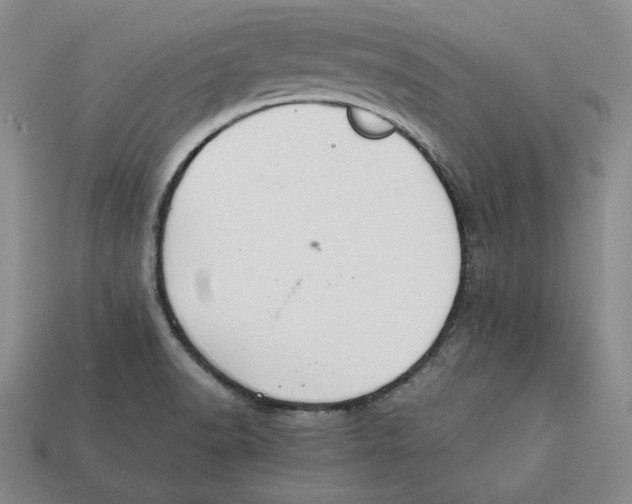 X0000112401518200909110918