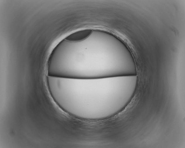 X0000112401520200909110918