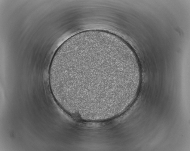X0000112401521200909110918