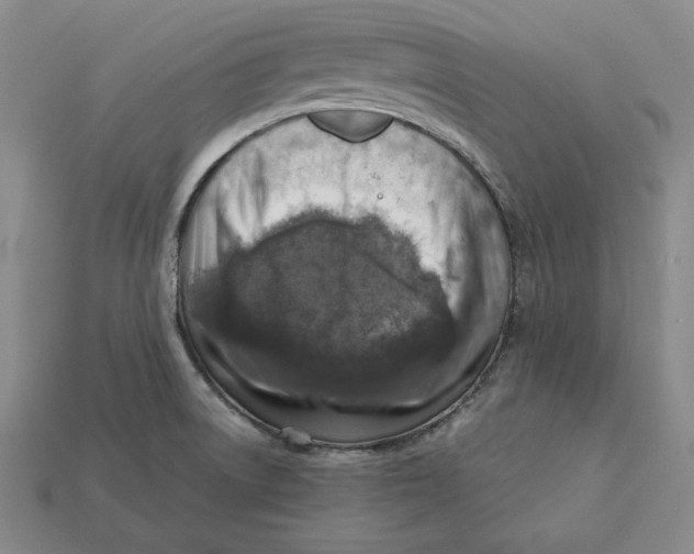 X0000112401522200909110918