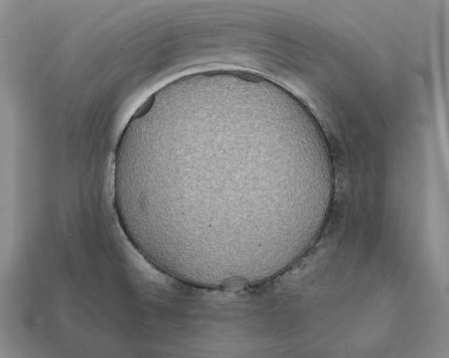 X0000112401524200909110918